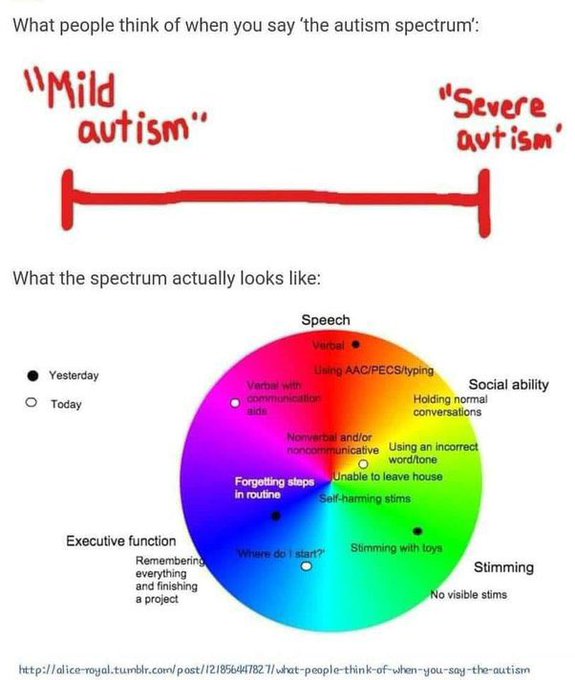 Diagram illustrating common misconceptions about the autism spectrum. The top half shows a linear spectrum with 'Mild autism' on one end and 'Severe autism' on the other. The bottom half presents a circular spectrum showing various aspects of autism, including speech, social ability, executive function, and stimming, with different levels of difficulty and ability in each area.